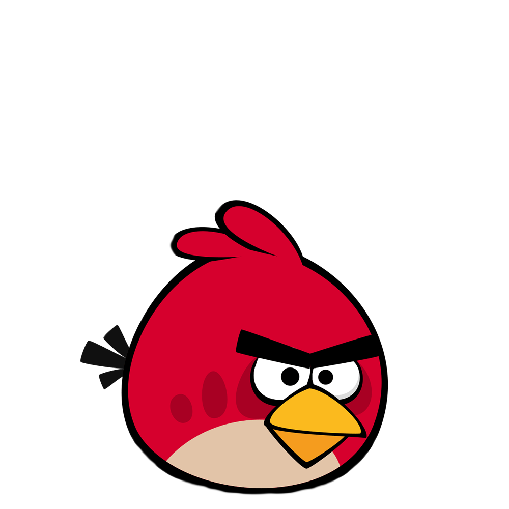 Flyer bird